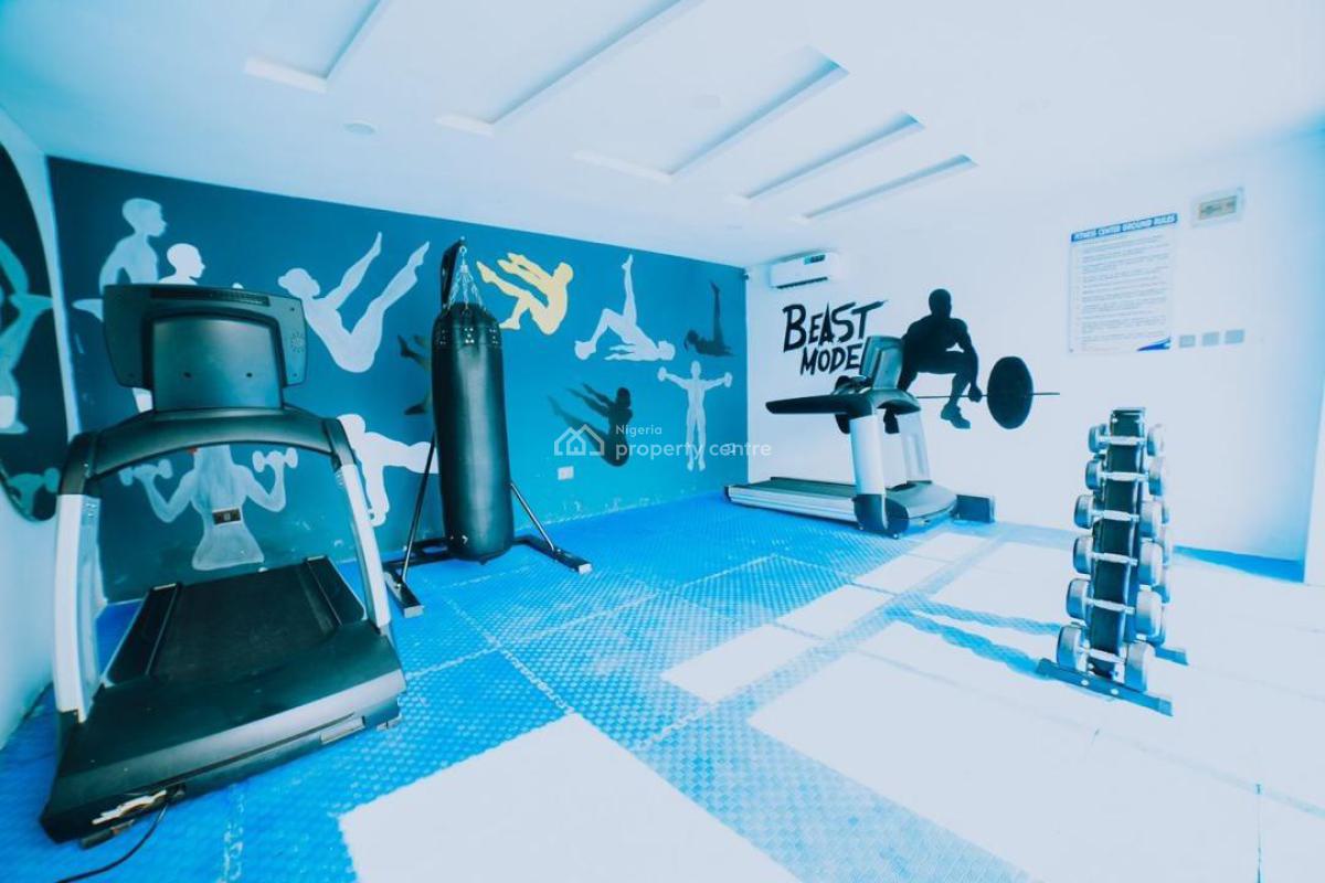 Nicely Furnished 2 Bedrooom Apartment, Ikate, Lekki, Lagos, Flat / Apartment Short Let