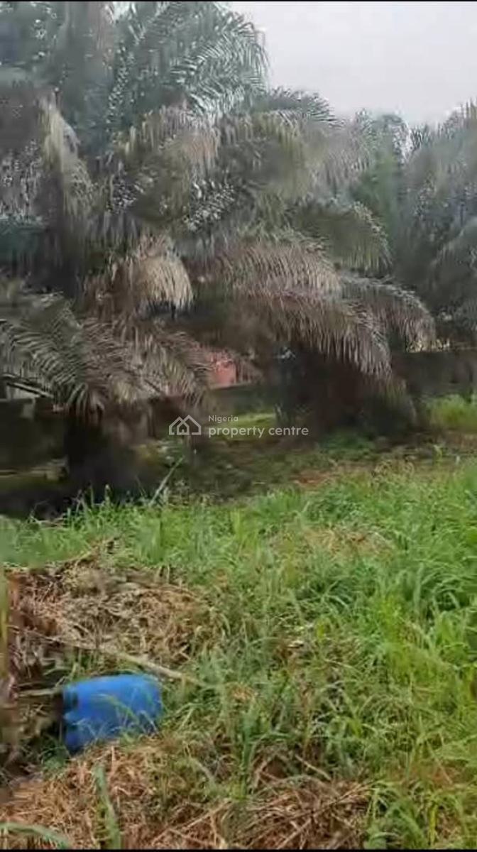 Massive Land, Mende, Maryland, Lagos, Residential Land for Sale