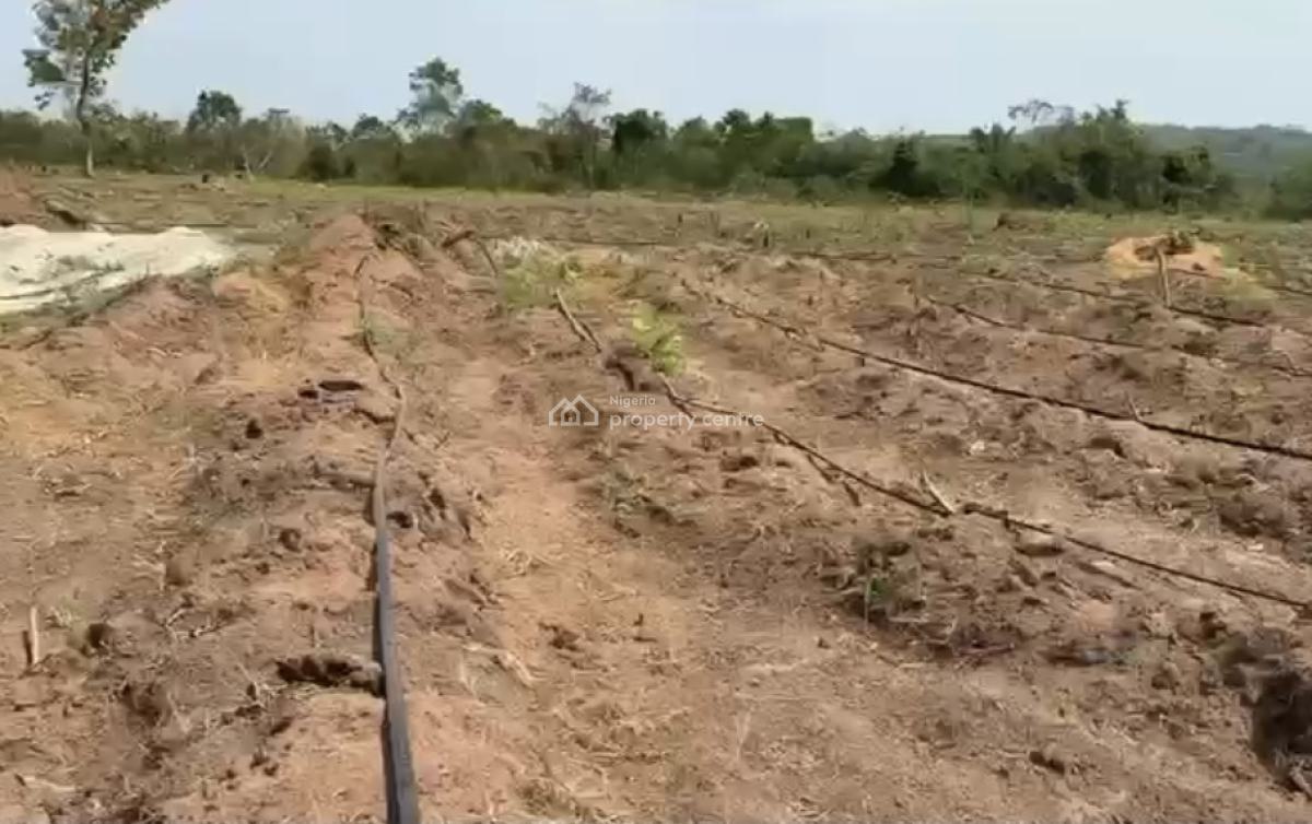 Paradiso Farms By Agrolocale Investments, Ayireke Village, Odeda Local Government, Alabata, Abeokuta North, Ogun, Commercial Land for Sale