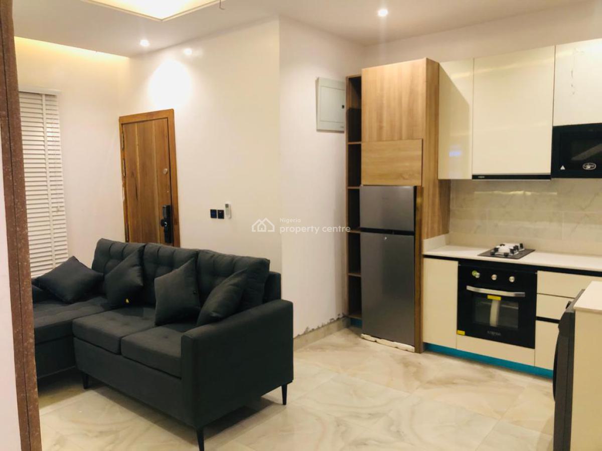 Furnished/unfurnished Fully Serviced Luxury 1 Bedroom Flat, Off Freedom Road, Lekki Phase 1, Lekki, Lagos, Mini Flat (room and Parlour) for Rent