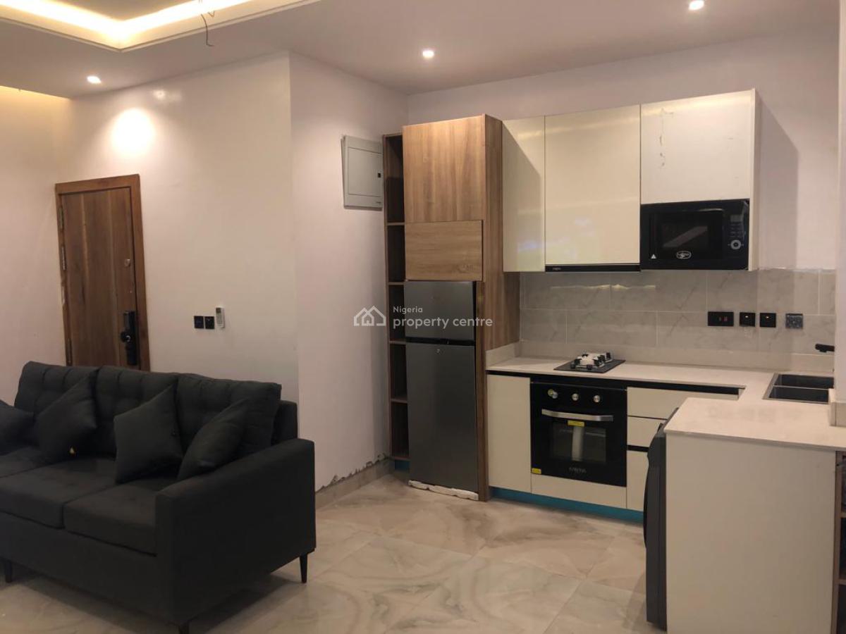 Furnished/unfurnished Fully Serviced Luxury 1 Bedroom Flat, Off Freedom Road, Lekki Phase 1, Lekki, Lagos, Mini Flat (room and Parlour) for Rent