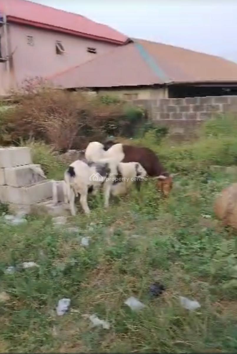 Quarter Plot of Land, Baba Adisa, Ibeju Lekki, Lagos, Mixed-use Land for Sale