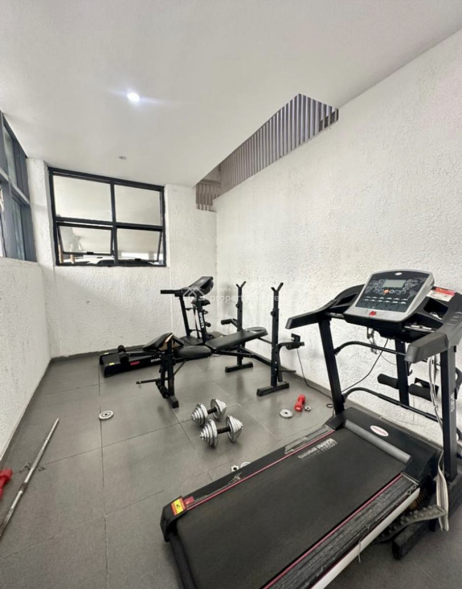 2 Bedrooms Apartment with Swimming Pool and Gym, Ikate, Lekki, Lagos, Flat / Apartment for Rent