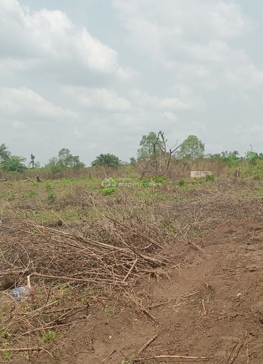 Govt Approved Farm Estate Strategically Located, Zara Farm City - Ido / Ido-eruwa Axis, Ibadan, Ido, Oyo, Commercial Land for Sale