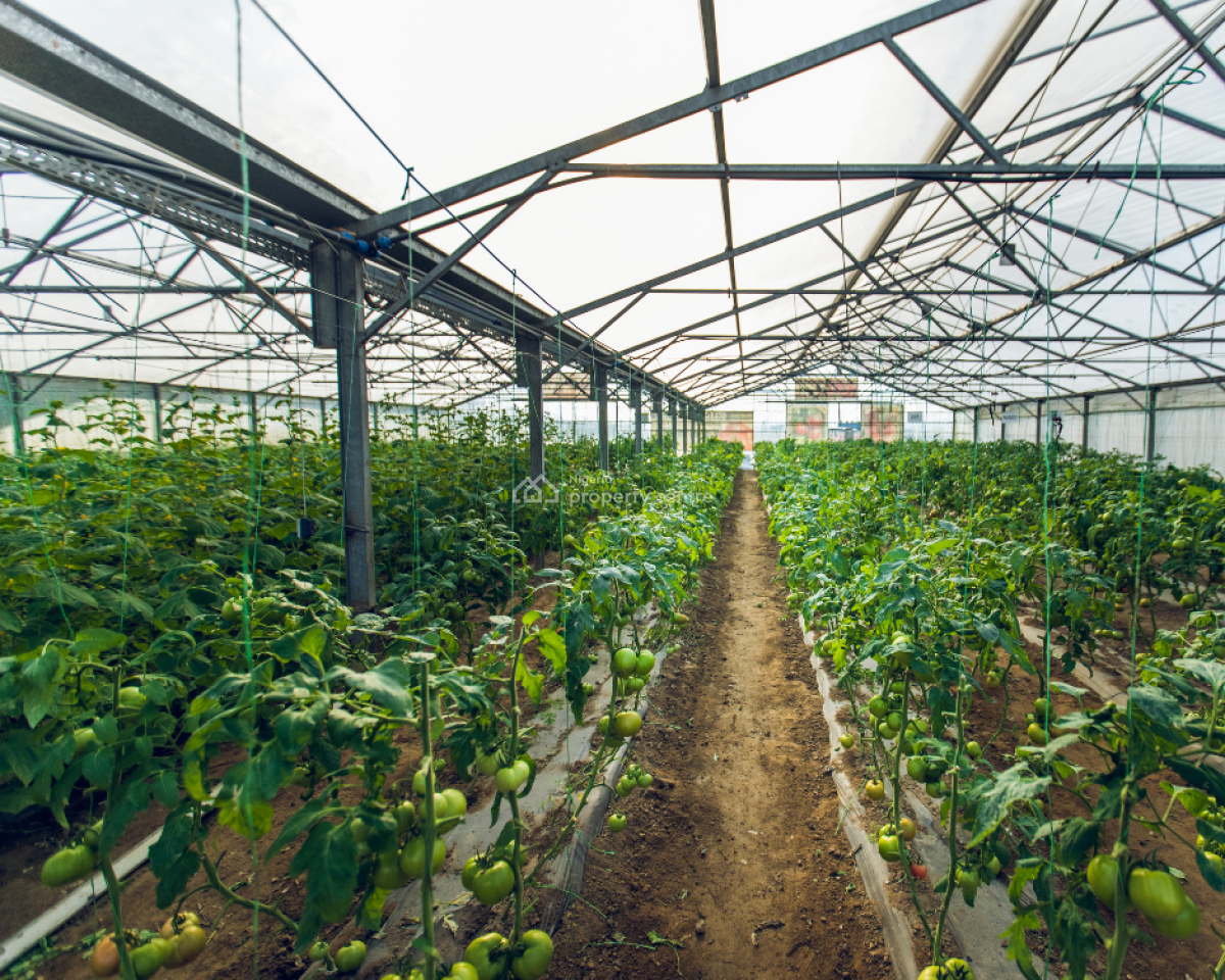 16.5 Acres Commercial Property, Lagos - Ibadan Express Way, Sagamu, Ogun, Commercial Property for Sale