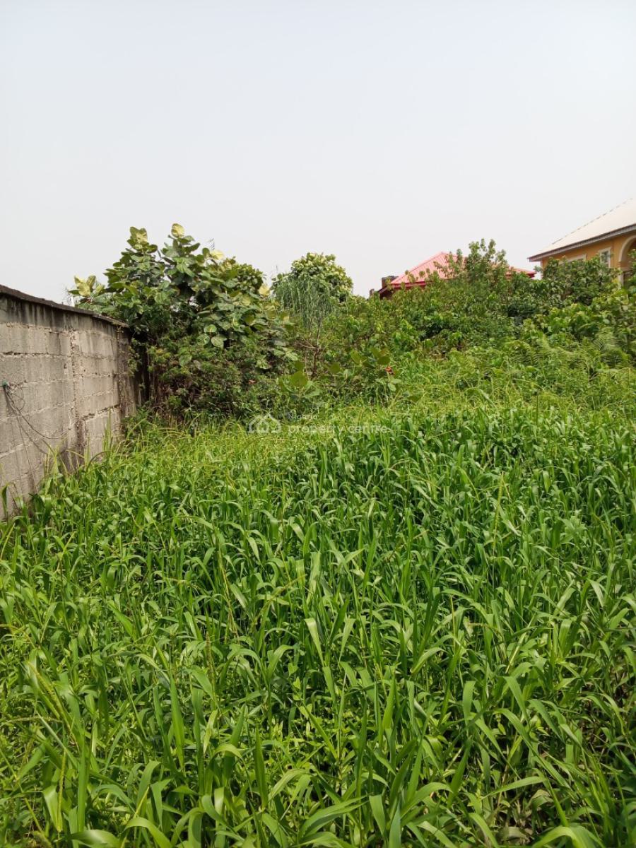 Plot of Fenced and Gated Land, Royal Palmwill Estate, Badore, Ajah, Lagos, Residential Land for Sale