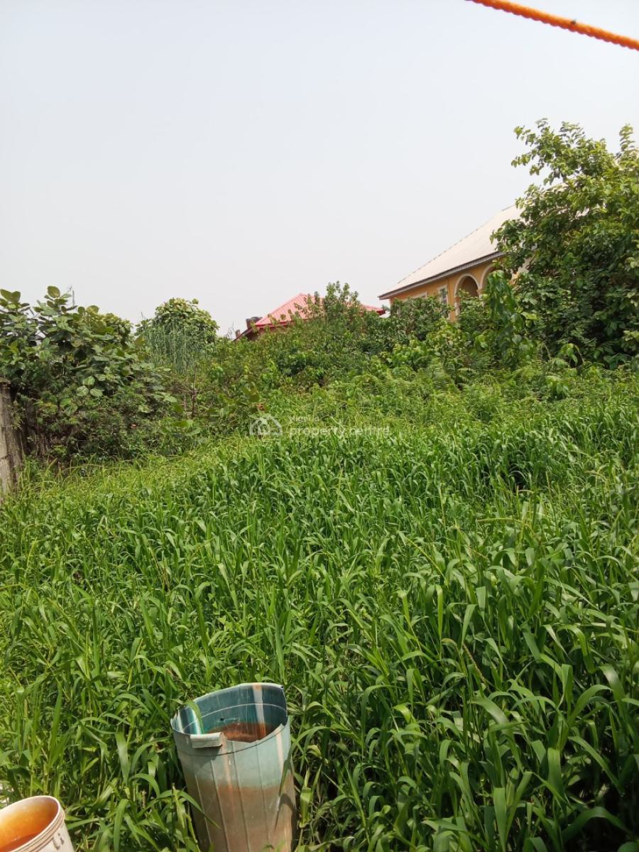 Plot of Fenced and Gated Land, Royal Palmwill Estate, Badore, Ajah, Lagos, Residential Land for Sale