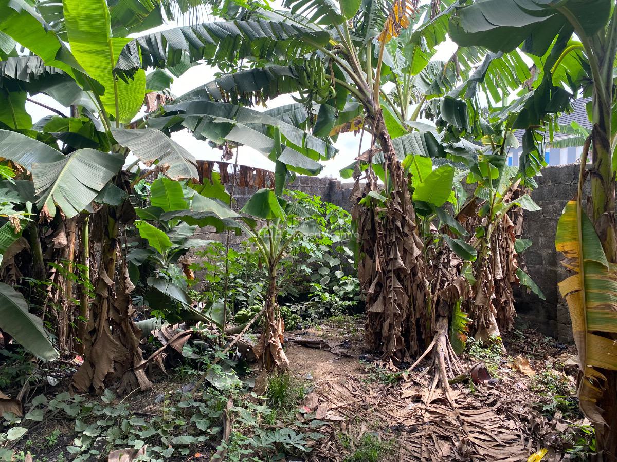 2 Acres of Land for on Idiroko Road, Ota  Beside Adedokun Interna, Ado-odo/ota, Ogun, Land for Sale