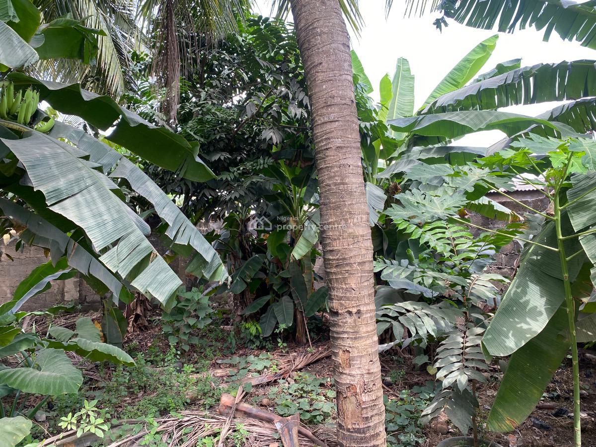 2 Acres of Land for on Idiroko Road, Ota  Beside Adedokun Interna, Ado-odo/ota, Ogun, Land for Sale