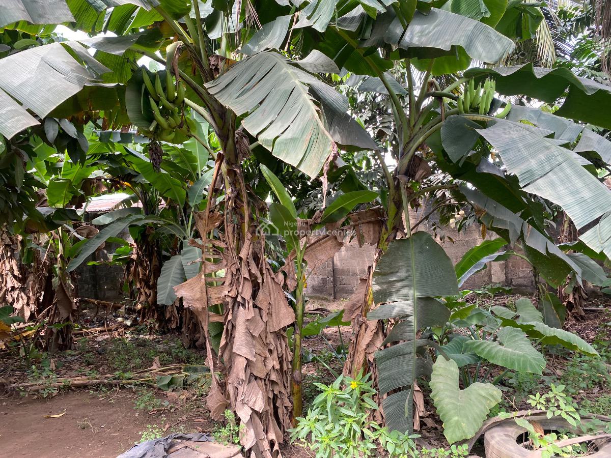 2 Acres of Land for on Idiroko Road, Ota  Beside Adedokun Interna, Ado-odo/ota, Ogun, Land for Sale