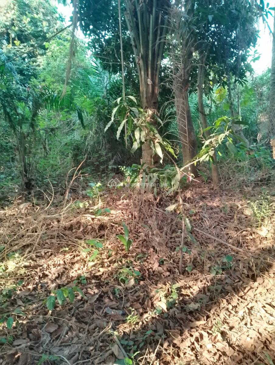 1850sqms of Bareland, Ikeja Gra, Ikeja, Lagos, Mixed-use Land for Sale