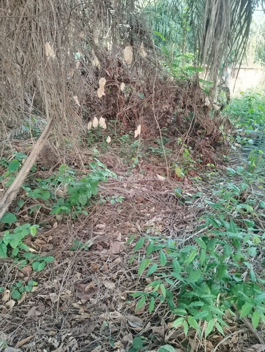 1850sqms of Bareland, Ikeja Gra, Ikeja, Lagos, Mixed-use Land for Sale