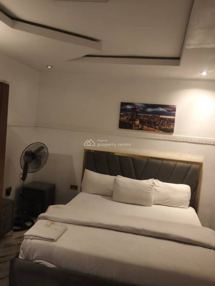 Functioning Hotel with Lounge, Ijesha, Surulere, Lagos, Hotel / Guest House for Sale