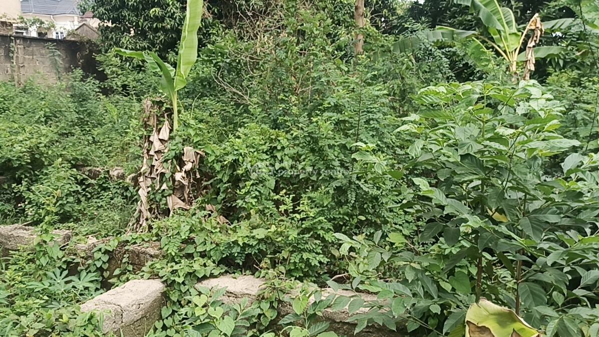 Two Plots of Land Measuring 120ft By 120ft with C of O, Majiyagbe Layout, Ipaja, Lagos, Mixed-use Land for Sale