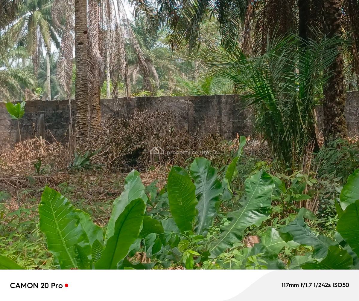 Two Plots of Land Together, Avu Close to Pearlview International Schools, Owerri Municipal, Imo, Mixed-use Land for Sale