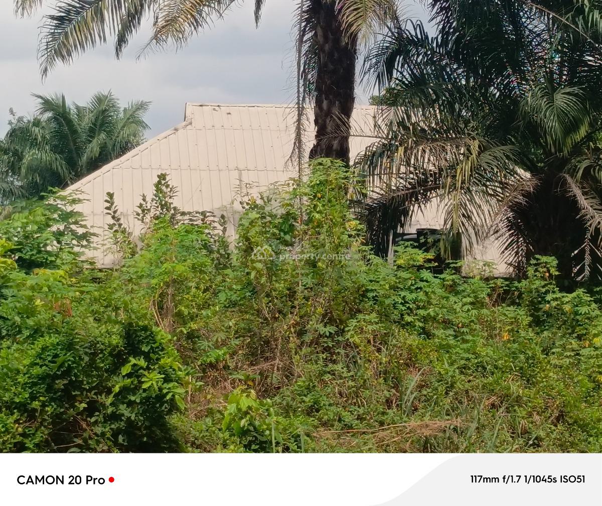 Two Plots of Land Together, Avu Close to Pearlview International Schools, Owerri Municipal, Imo, Mixed-use Land for Sale