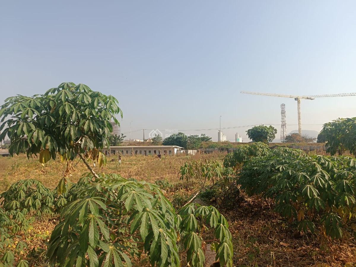 Commercial Land in Central Area, Central Business District, Abuja, Commercial Land for Sale