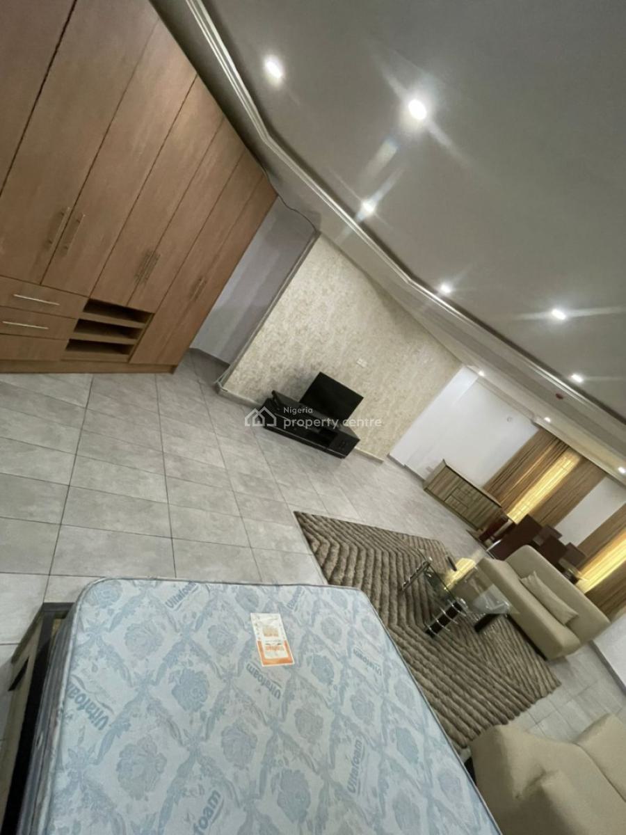 Furnished and Standard Mini Flat  with Swimming Pool and Gym, Main Jabi, Jabi, Abuja, Mini Flat (room and Parlour) for Rent