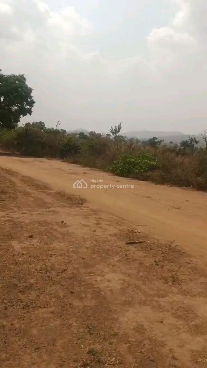 Prime Investment Opportunity: 100-hectare Development Land in Maitama, Maitama 2, Maitama District, Abuja, Mixed-use Land for Sale