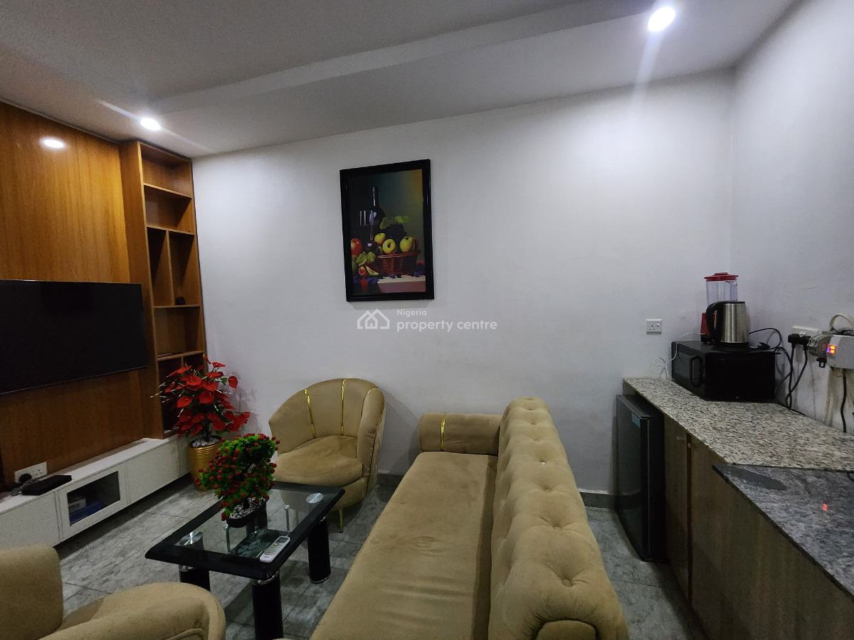 Well Located Luxury Cozy One Bedroom Apartment at Wuse Zone One, Abuja, Gonder Street, Zone 1, Wuse, Abuja, Mini Flat (room and Parlour) Short Let