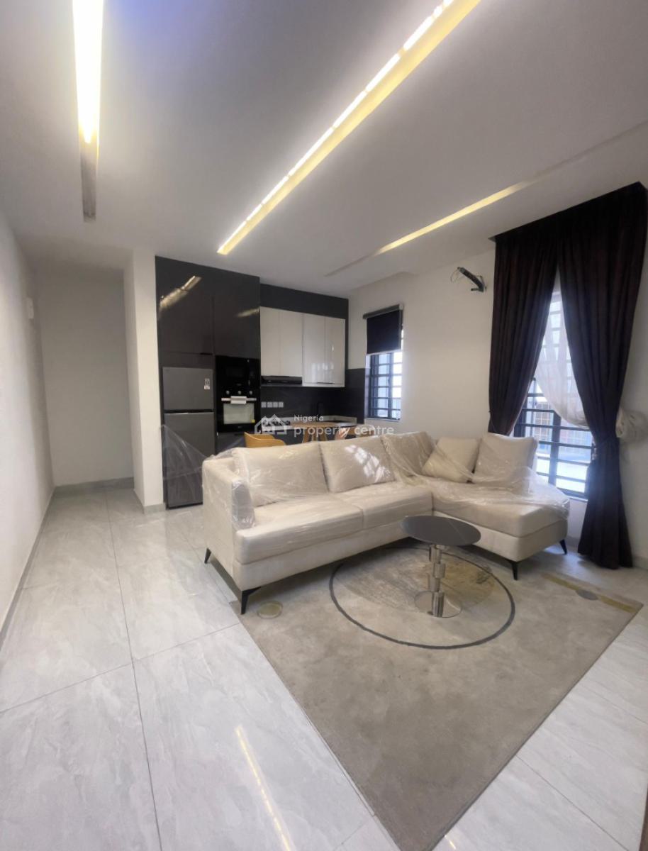 Ready to Move in Newly Built 2 Bedroom Apartment, Withi Close Proximity to Ikoyi  and Lekki Phase 1, Ikate Elegushi, Lekki, Lagos, Flat / Apartment for Sale