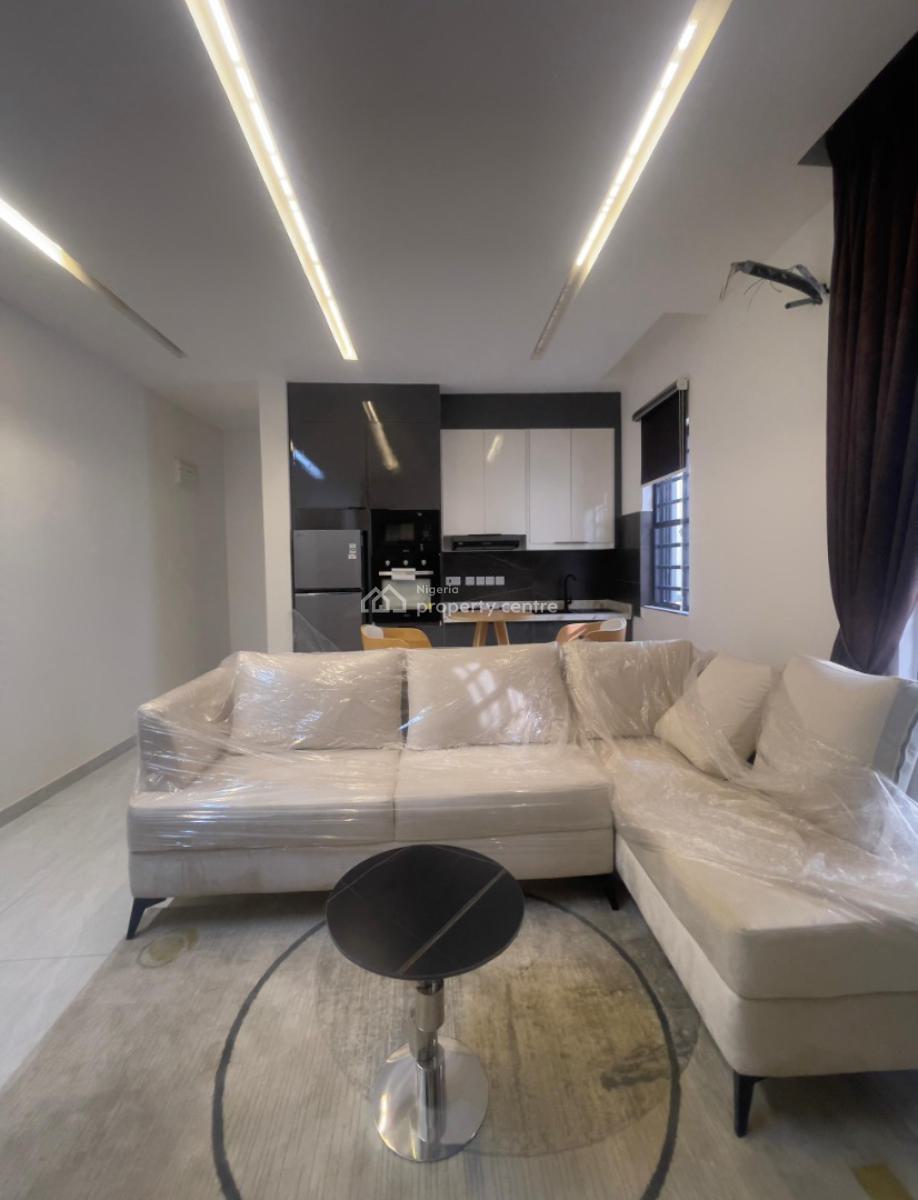 Ready to Move in Newly Built 2 Bedroom Apartment, Withi Close Proximity to Ikoyi  and Lekki Phase 1, Ikate Elegushi, Lekki, Lagos, Flat / Apartment for Sale