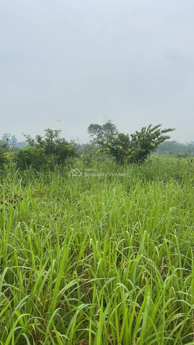 a Fenced Parcel of Land Measuring 8.0178 Hectares (80,178.87 Sqm), Lagos- Ibadan Expressway, Mowe Ofada, Ogun, Commercial Land for Sale