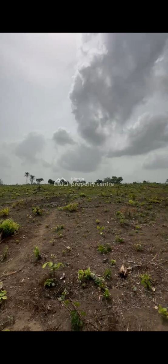 Oil Palm Trees, Plantain and Coconut Farmland, Just 15 Minutes Drive From Funaab, Odeda, Ogun, Mixed-use Land for Sale
