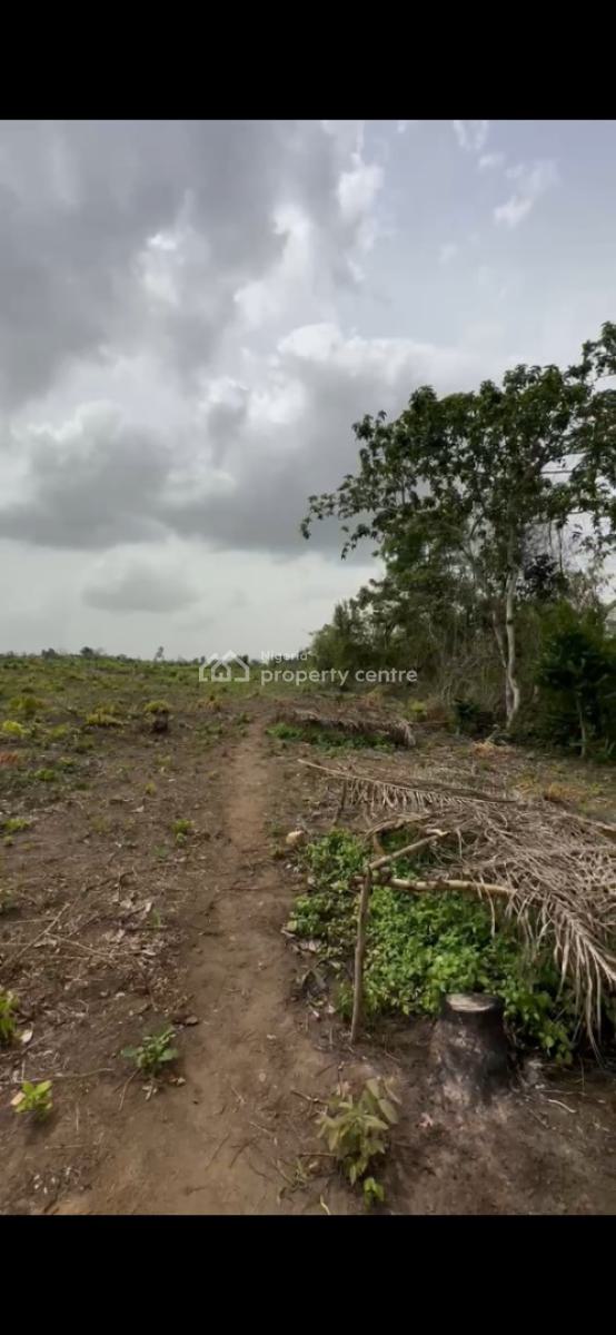 Oil Palm Trees, Plantain and Coconut Farmland, Just 15 Minutes Drive From Funaab, Odeda, Ogun, Mixed-use Land for Sale