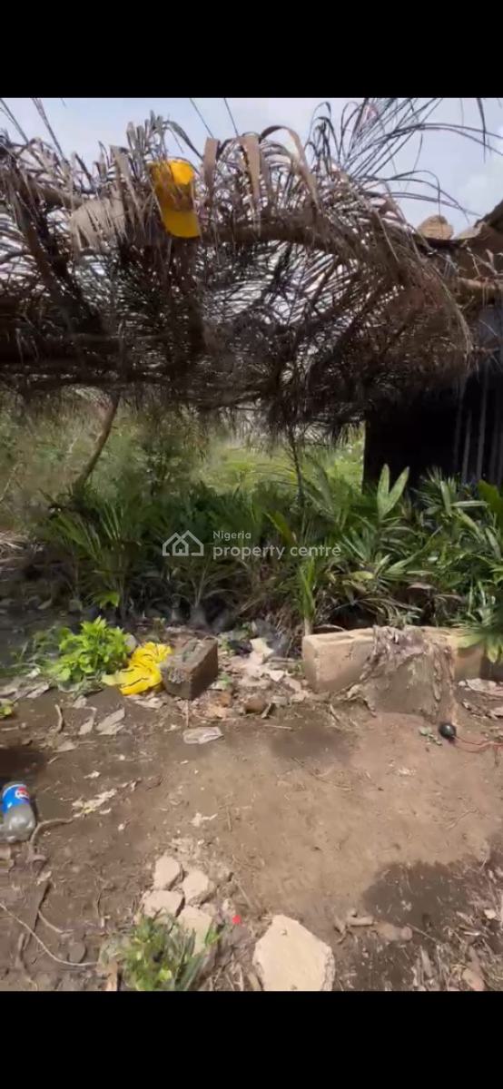 Oil Palm Trees, Plantain and Coconut Farmland, Just 15 Minutes Drive From Funaab, Odeda, Ogun, Mixed-use Land for Sale