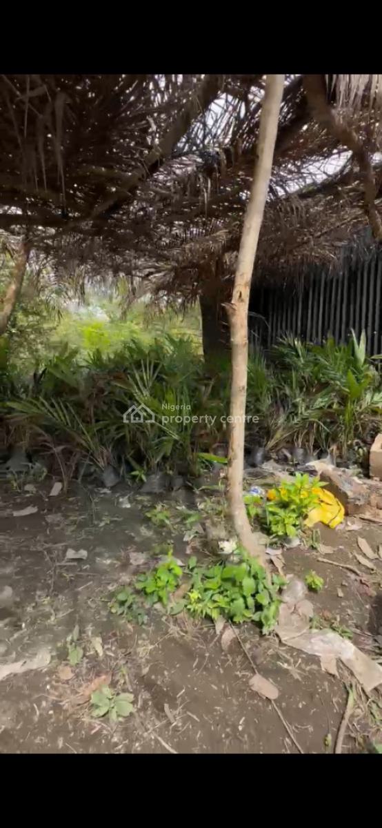 Oil Palm Trees, Plantain and Coconut Farmland, Just 15 Minutes Drive From Funaab, Odeda, Ogun, Mixed-use Land for Sale