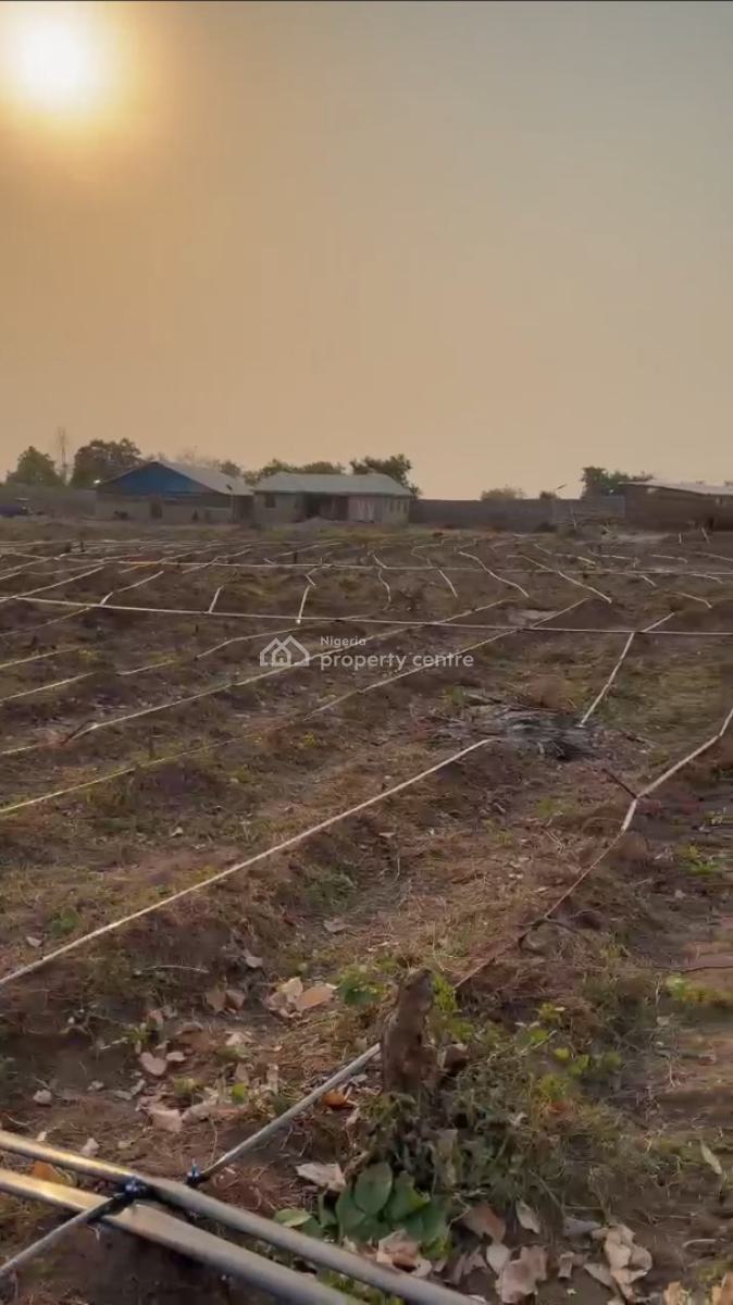 Affordable Farmland, Ayireke Village, Via Alabata, Odeda Local Government, Odeda, Ogun, Mixed-use Land for Sale