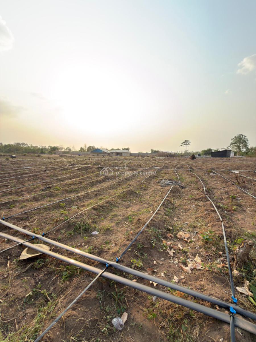 Affordable Farmland, Ayireke Village, Via Alabata, Odeda Local Government, Odeda, Ogun, Mixed-use Land for Sale