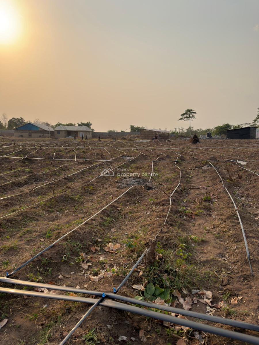 Affordable Farmland, Ayireke Village, Via Alabata, Odeda Local Government, Odeda, Ogun, Mixed-use Land for Sale