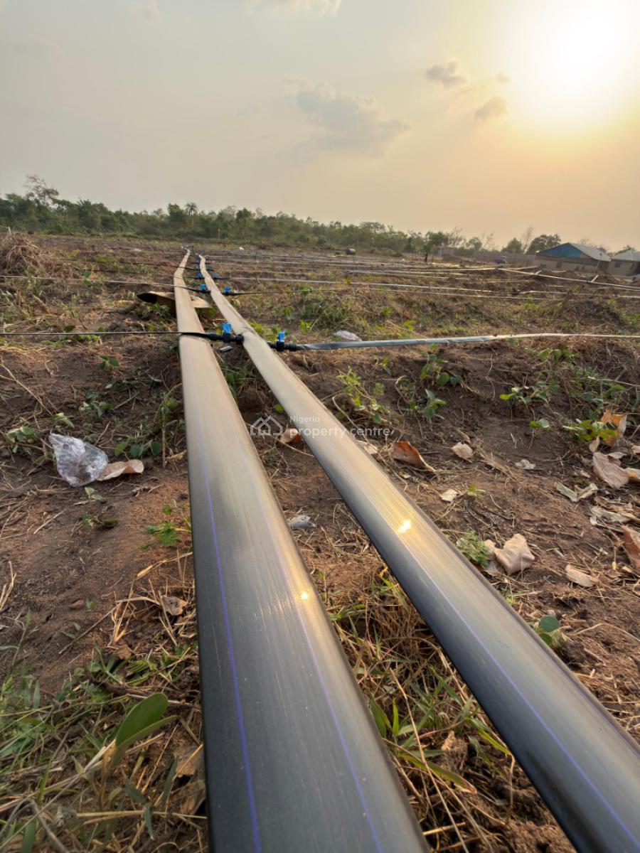 Affordable Farmland, Ayireke Village, Via Alabata, Odeda Local Government, Odeda, Ogun, Mixed-use Land for Sale