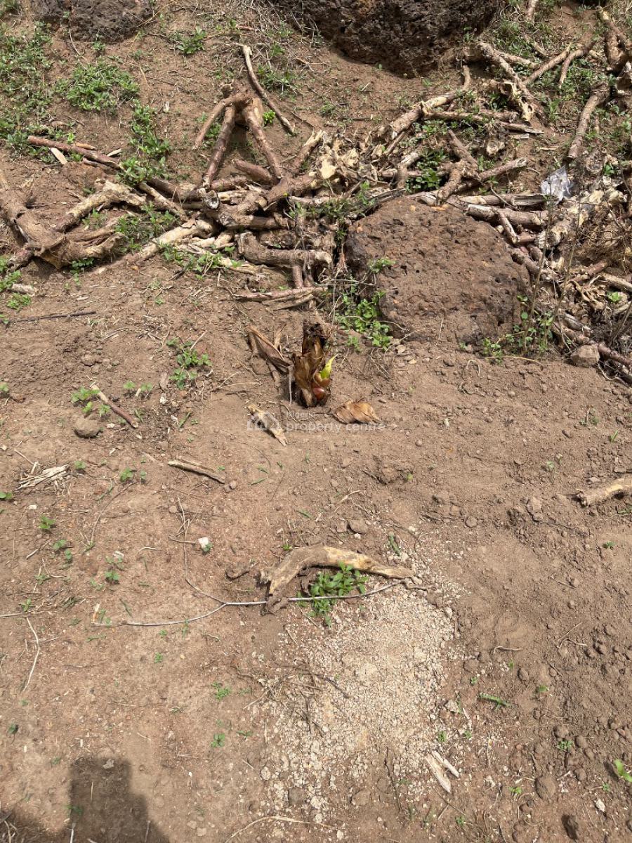 Cocoa and Plantain Farm Fully Managed, Abeokuta Around Crescent University, Odeda, Ogun, Land for Sale