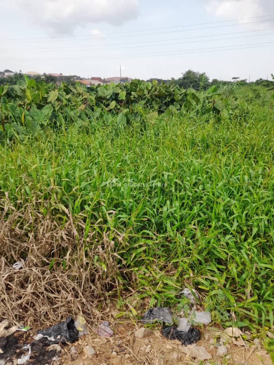 Bareland, Oke Ira, Ogba, Ikeja, Lagos, Mixed-use Land for Sale