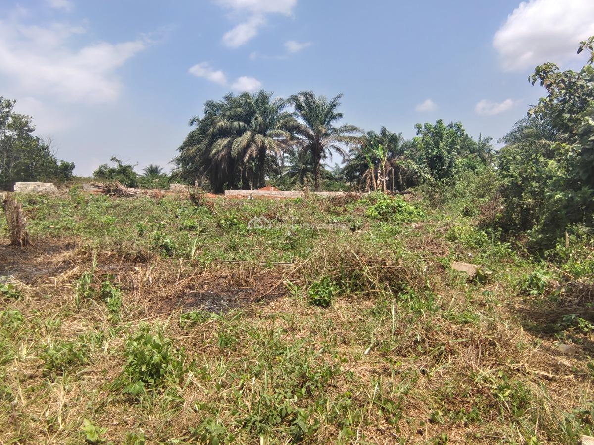 Govt Approved Estate Strategically Located, Chiamanda Estate  Along Illah Ugbolu Road, Ogbolu, Oshimili North, Delta, Mixed-use Land for Sale