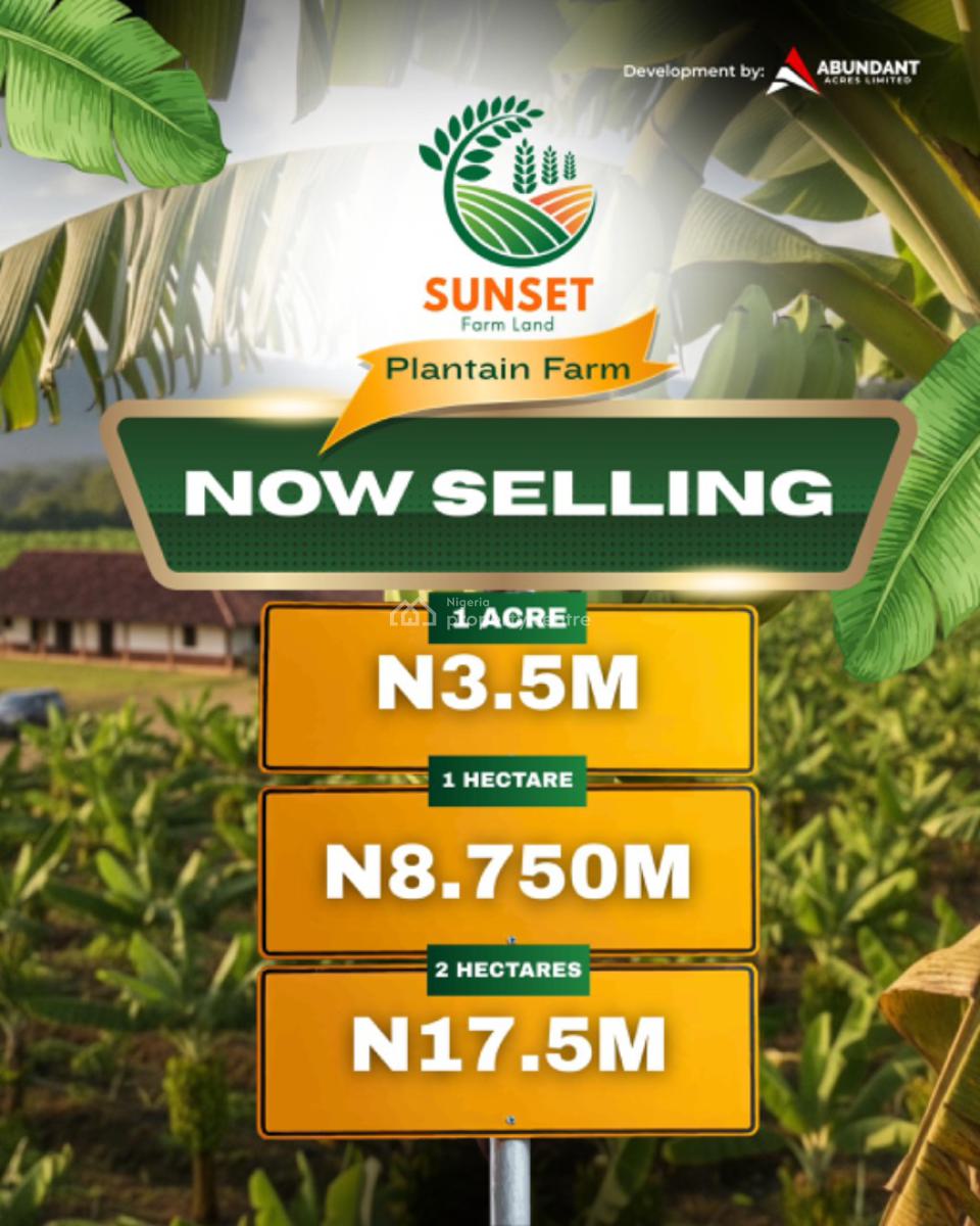 Sunset Plantain Farm, Odeda Local Government, Abeokuta, Ogun State, Odeda, Ogun, Commercial Land for Sale