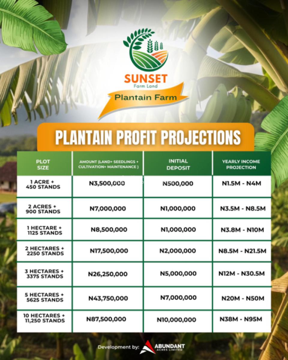 Sunset Plantain Farm, Odeda Local Government, Abeokuta, Ogun State, Odeda, Ogun, Commercial Land for Sale