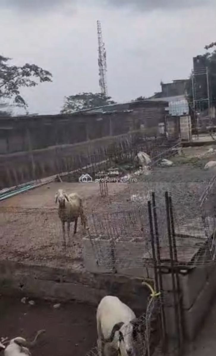 an  Acre of Land Available ,, Location: Secured Place Off Iju Road Before Jungle B/stop, Iju-ishaga, Agege, Lagos, Industrial Land for Sale