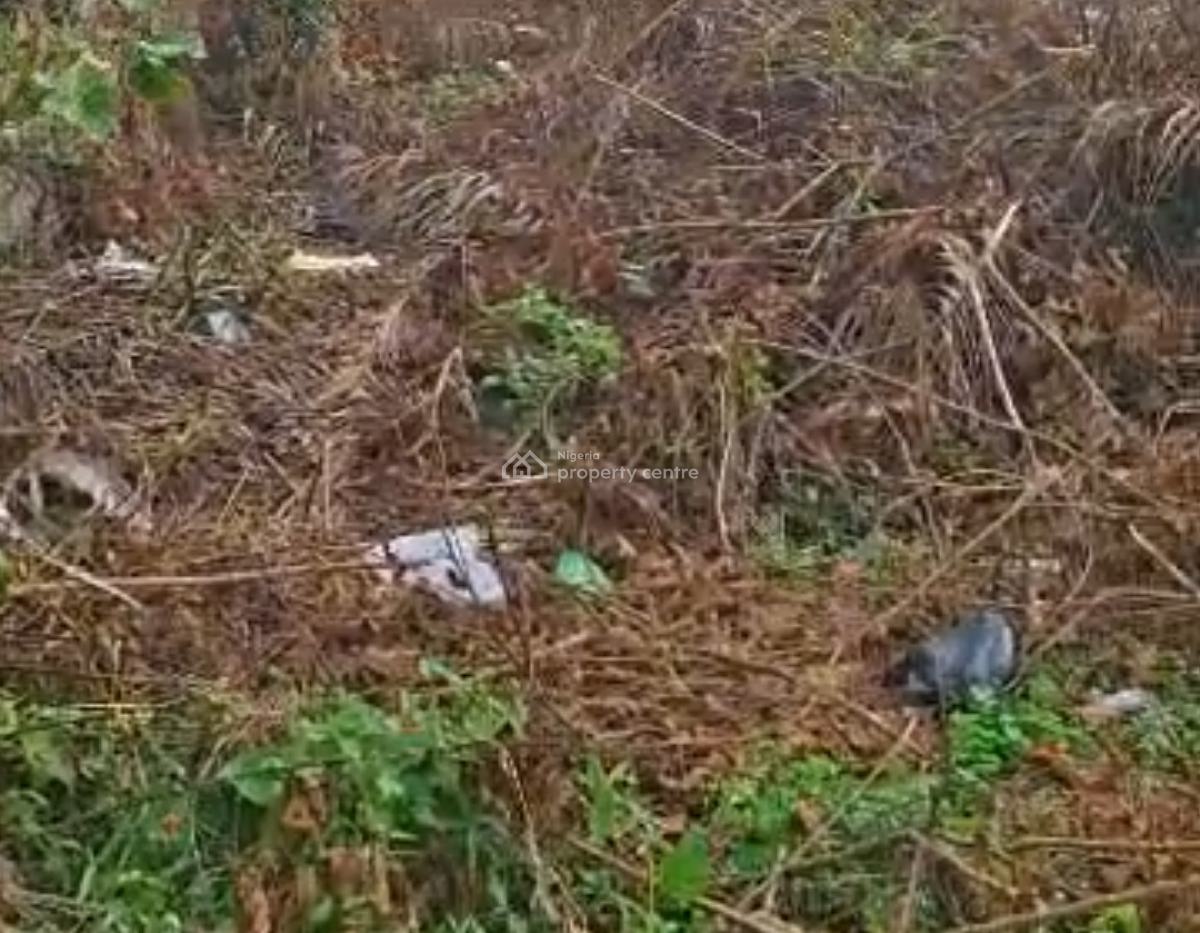 Distress Land Measuring 1000 Square Meters, Casia Estate Opposite Corona School Abijo, Ajah, Lagos, Residential Land for Sale