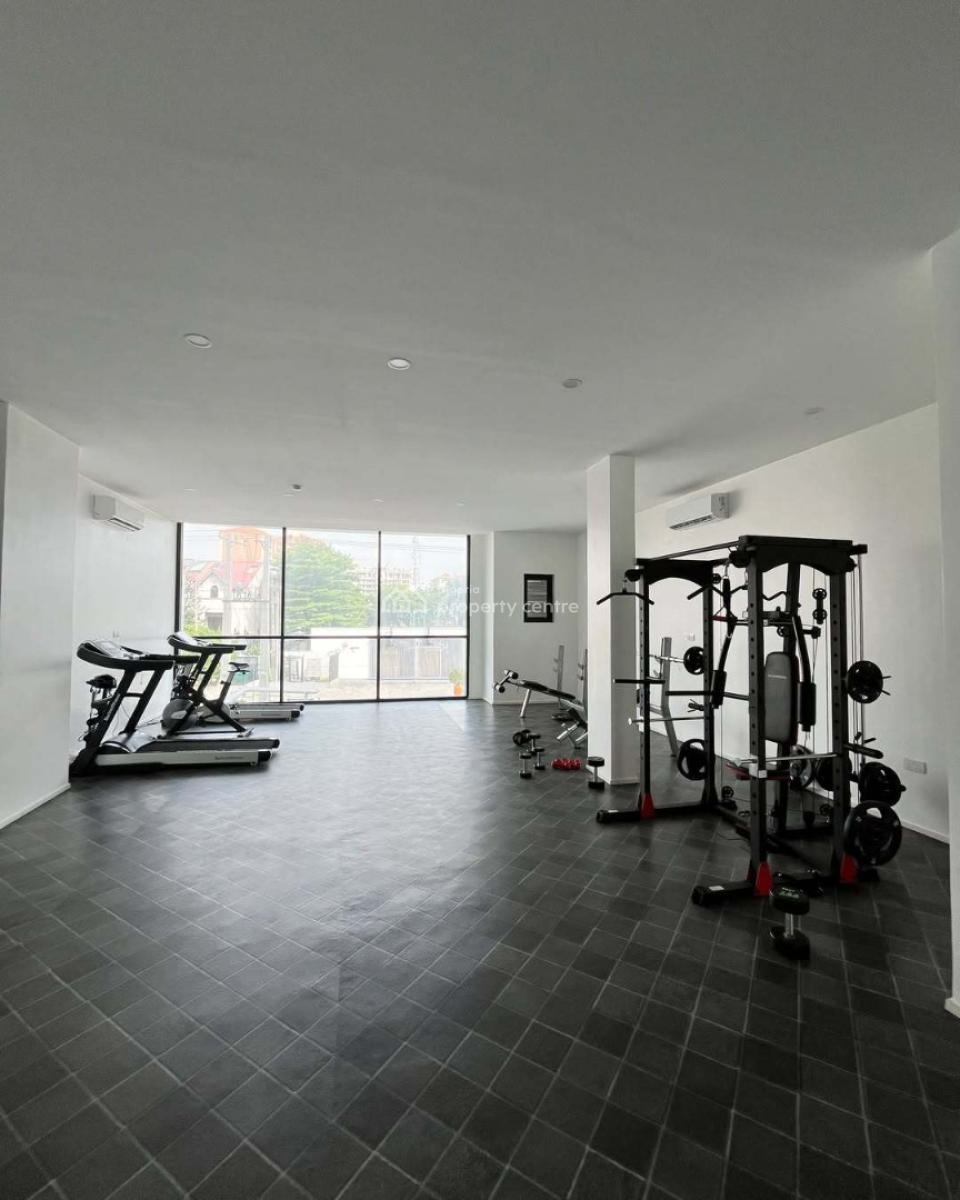 Fully Furnished 2-bedroom Apartment, Ikoyi, Lagos, Flat / Apartment for Rent