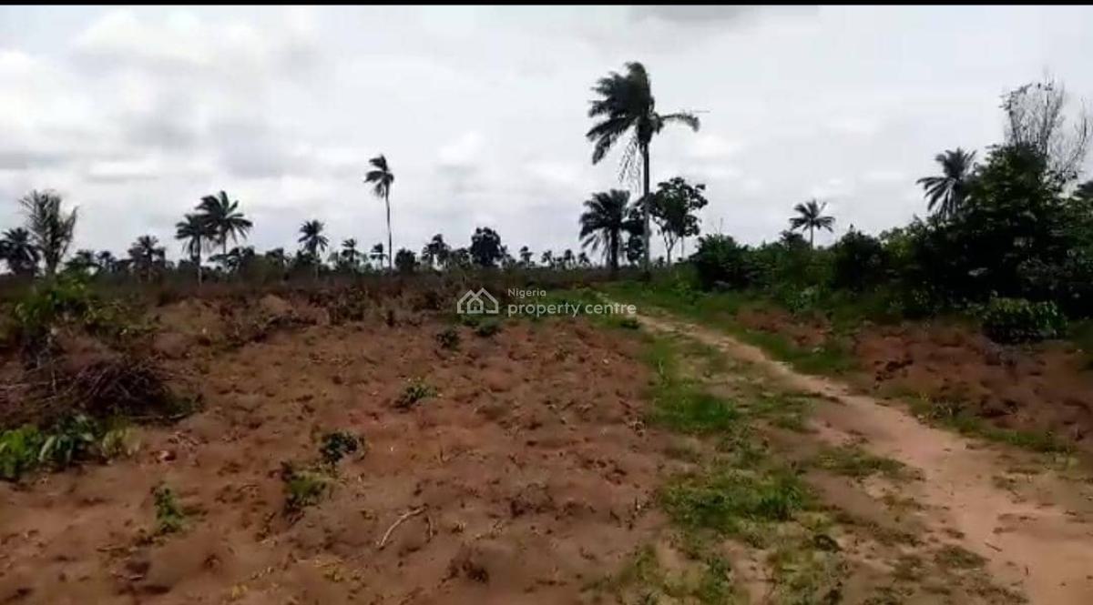 Land with Registered Survey and Power of Attorney, Charisma Garden Estate Located at  Ogbor Hills Ovom, Aba, Abia, Residential Land for Sale
