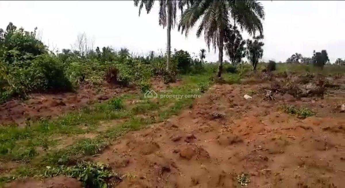 Land with Registered Survey and Power of Attorney, Charisma Garden Estate Located at  Ogbor Hills Ovom, Aba, Abia, Residential Land for Sale