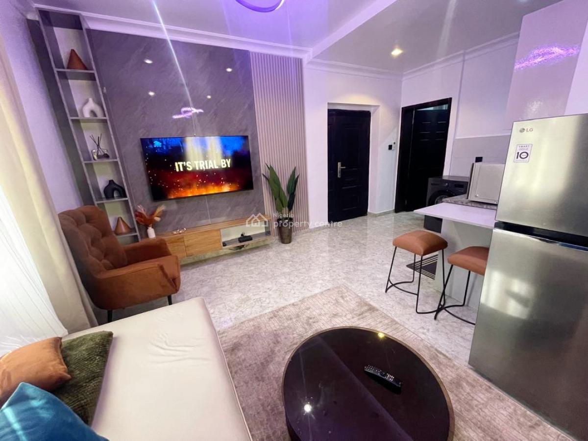 Spacious N Lovely 1 Bedroom Fully Furnished Apartment, Ikoyi, Lagos, Flat / Apartment Short Let