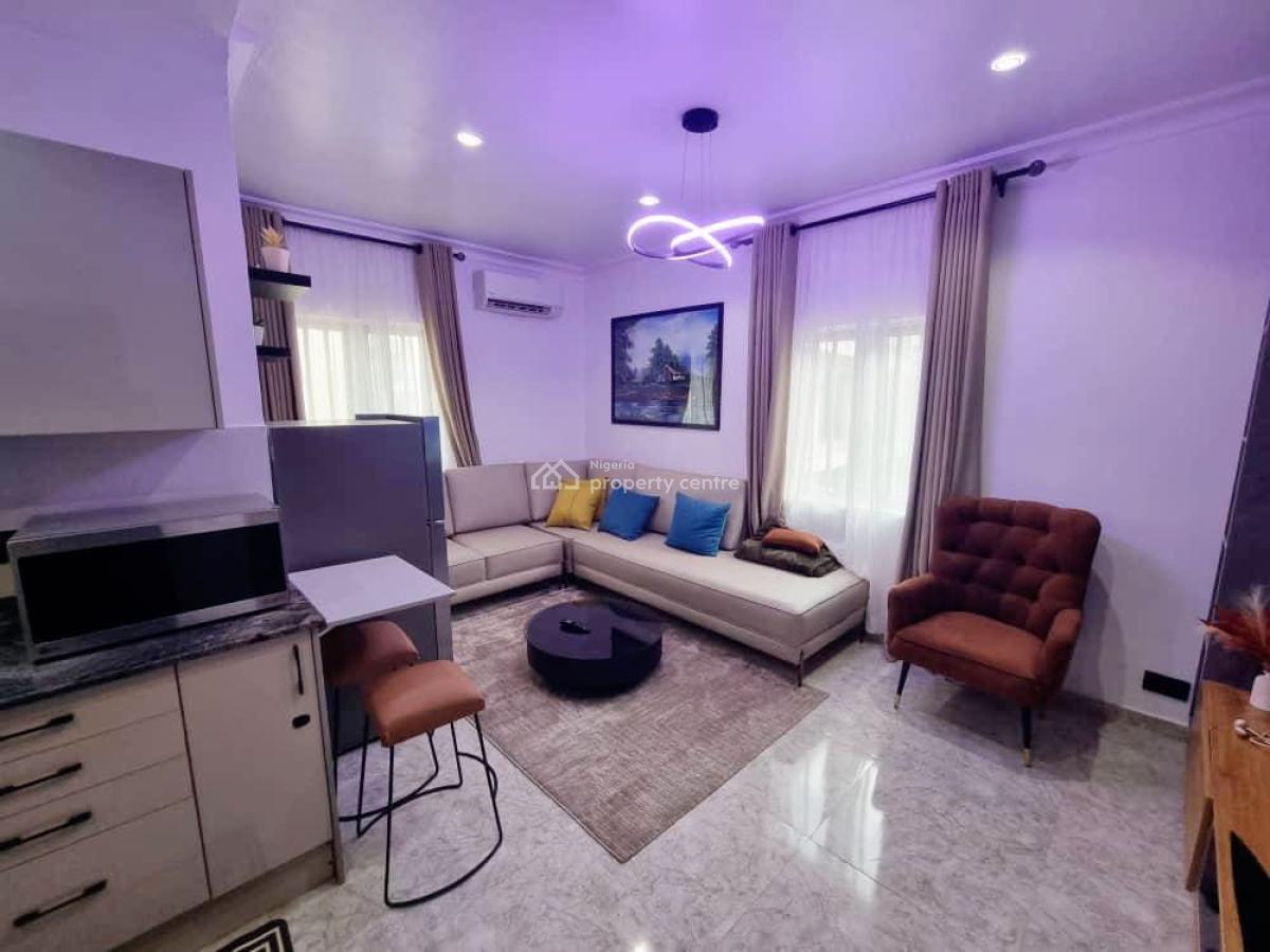 Spacious N Lovely 1 Bedroom Fully Furnished Apartment, Ikoyi, Lagos, Flat / Apartment Short Let