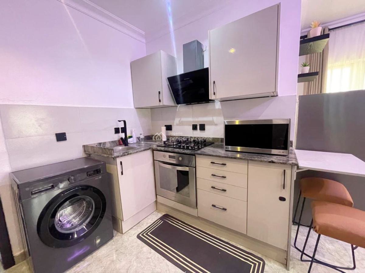 Spacious N Lovely 1 Bedroom Fully Furnished Apartment, Ikoyi, Lagos, Flat / Apartment Short Let