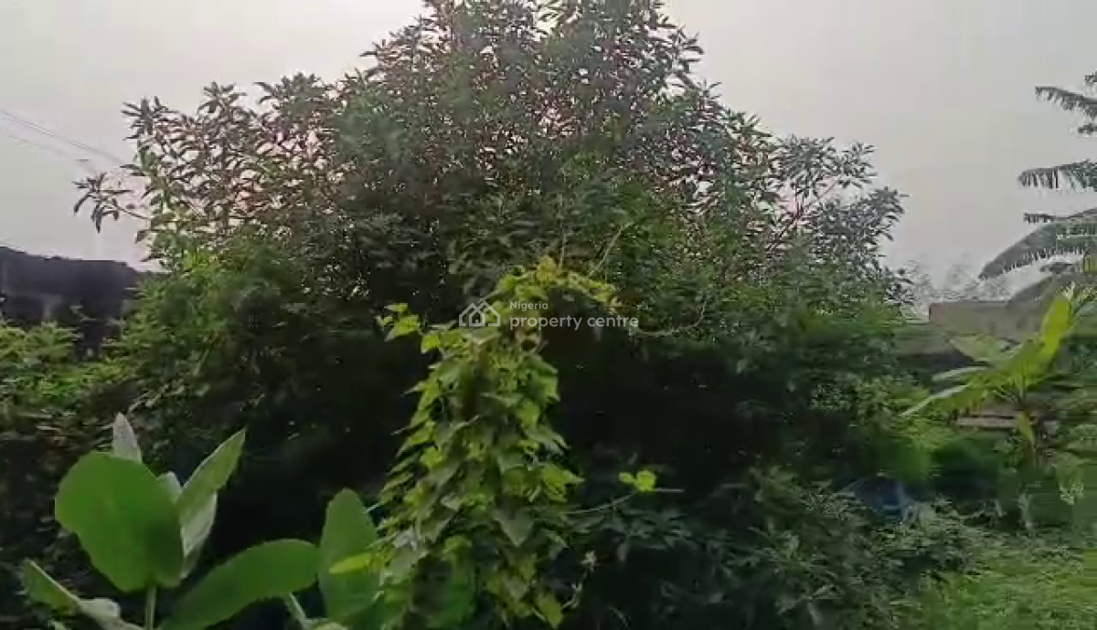 2 Plots of Land, Ipaja, Lagos, Land for Sale