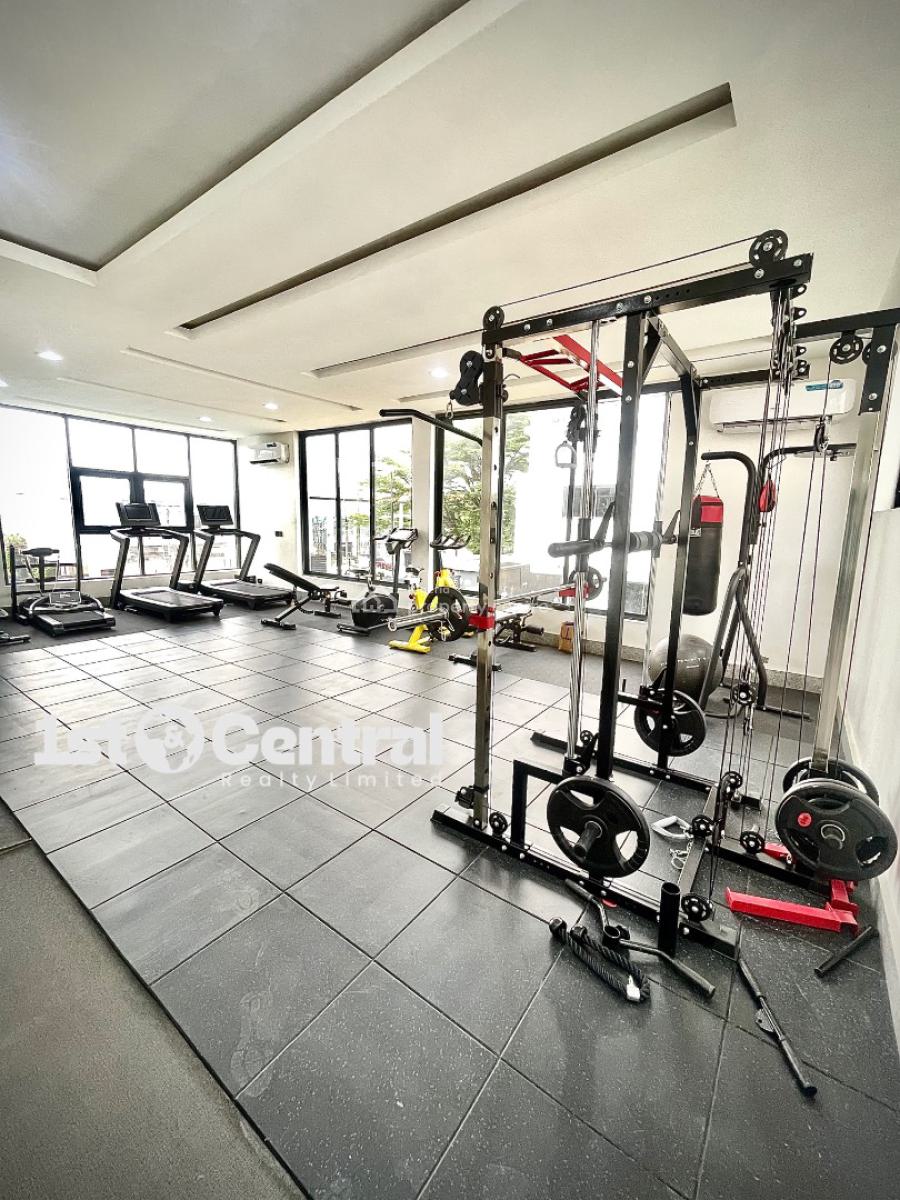 Brand New 4 Bedrooms +1 Bq Terrace Duplex, Ikoyi, Lagos, Terraced Duplex for Sale